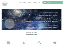 Tablet Screenshot of midlineinstitut.com